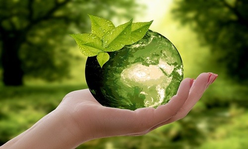 Avanade launches new sustainability solutions for businesses
